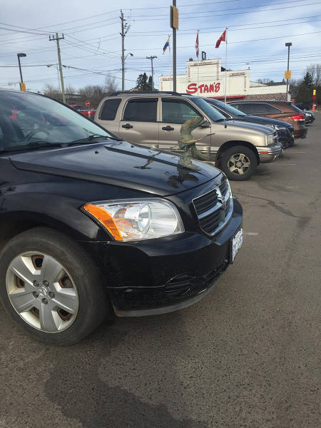 morning picdump 53 pics 18.html - 53 HD Photos | Premium Gallery 2016