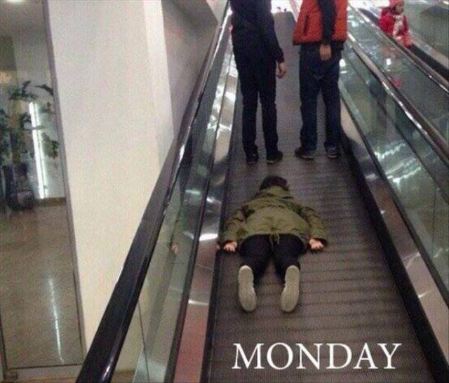 funny picdump 53 pics 6.html - 53 HD Photos | Premium Gallery 2016