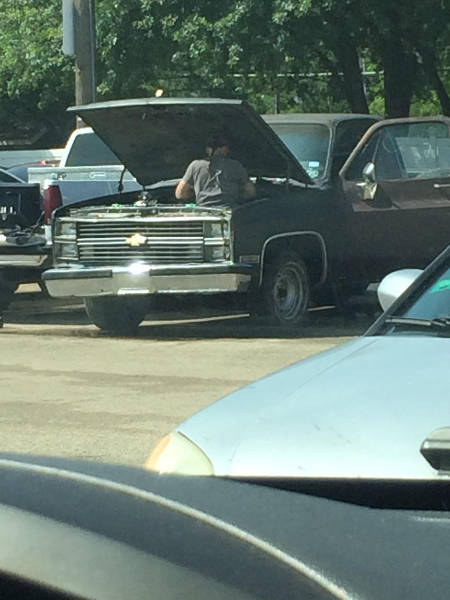 funny picdump 53 pics 6.html - 53 HD Photos | Premium Gallery 2016