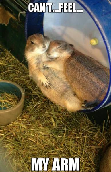 funny picdump 53 pics 6.html - 53 HD Photos | Premium Gallery 2016