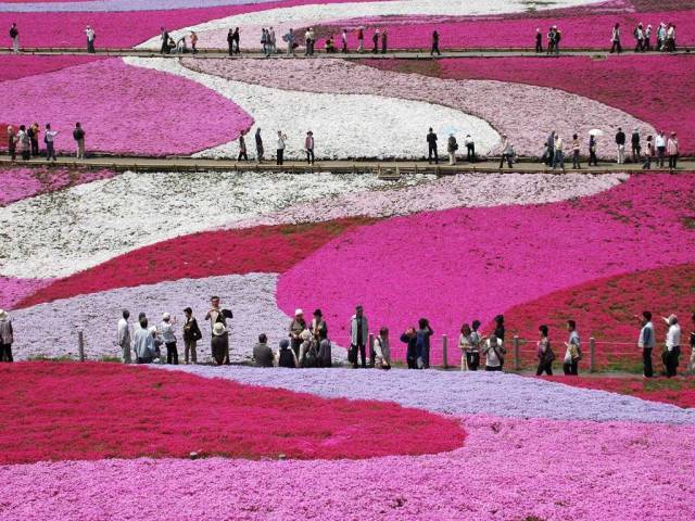 morning picdump 51 pics 2.html - 51 HD Photos | Premium Gallery 2016