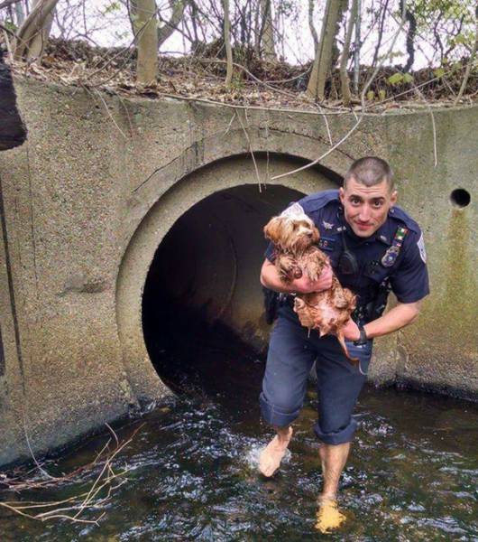 morning picdump 51 pics 2.html - 51 HD Photos | Premium Gallery 2016