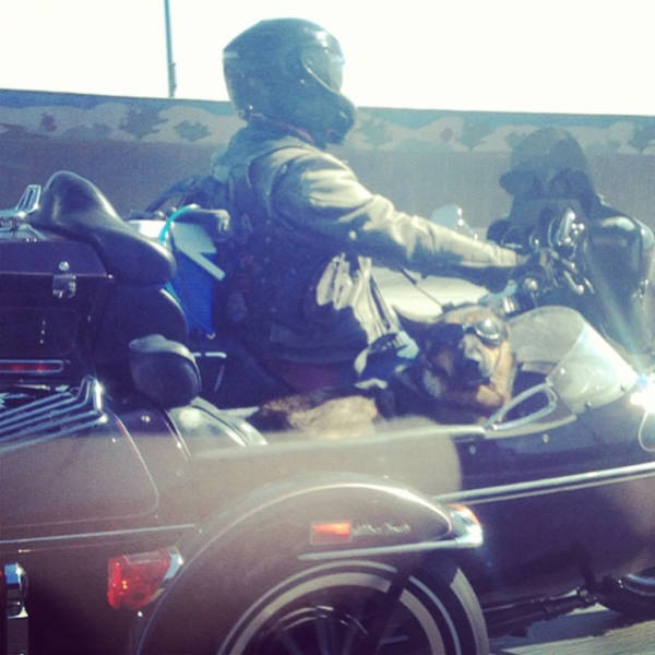 morning picdump 51 pics 2.html - 51 HD Photos | Premium Gallery 2016