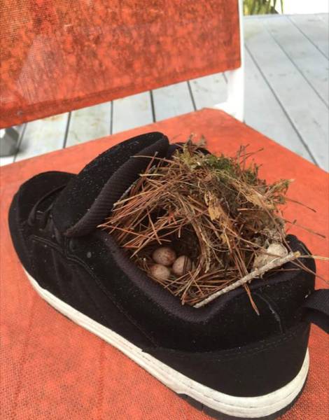 morning picdump 51 pics 2.html - 51 HD Photos | Premium Gallery 2016