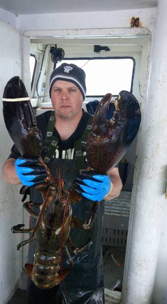 morning picdump 51 pics 2.html - 51 HD Photos | Premium Gallery 2016