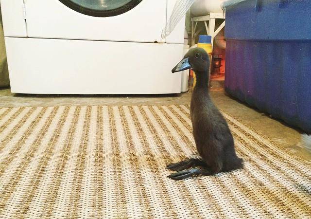 morning picdump 51 pics 3.html - 51 HD Photos | Premium Gallery 2016