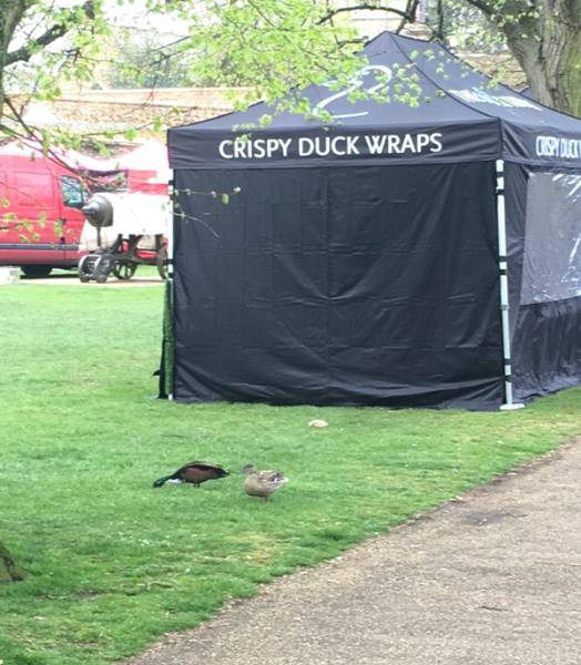 morning picdump 54 pics 10.html - 54 HD Photos | Premium Gallery 2016