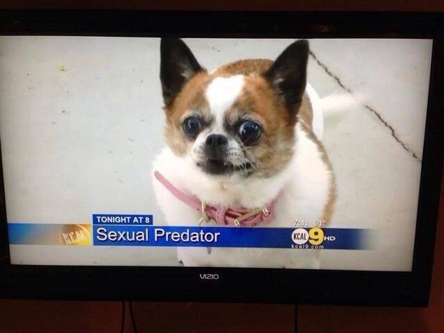 morning picdump 54 pics 10.html - 54 HD Photos | Premium Gallery 2016