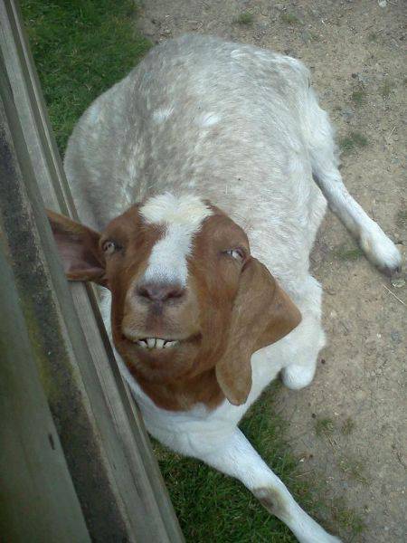 morning picdump 52 pics 2.html - 52 HD Photos | Premium Gallery 2016