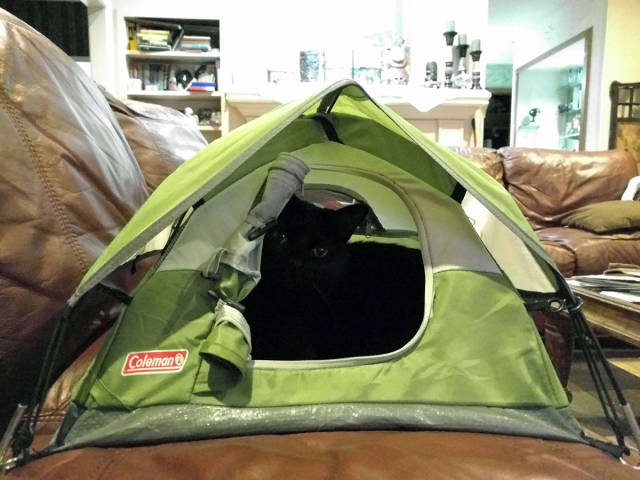 morning picdump 50 pics 8.html - 50 HD Photos | Premium Gallery 2016