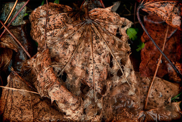 When Anal Sex Turns Into A Disaster