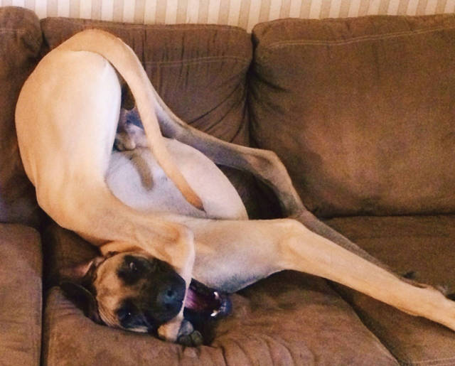 morning picdump 53 pics 20.html - 53 HD Photos | Premium Gallery 2016