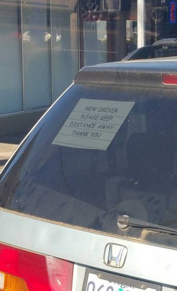 morning picdump 53 pics 20.html - 53 HD Photos | Premium Gallery 2016