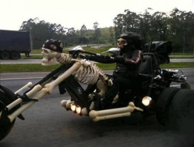 morning picdump 51 pics 12.html - 51 HD Photos | Premium Gallery 2016