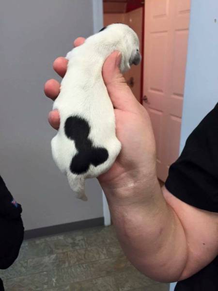 morning picdump 51 pics 12.html - 51 HD Photos | Premium Gallery 2016