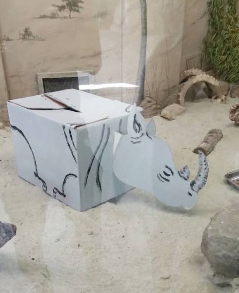 Compilation Of Fails That Will Make You Giggle