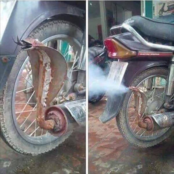 morning picdump 50 pics 17.html - 50 HD Photos | Premium Gallery 2016