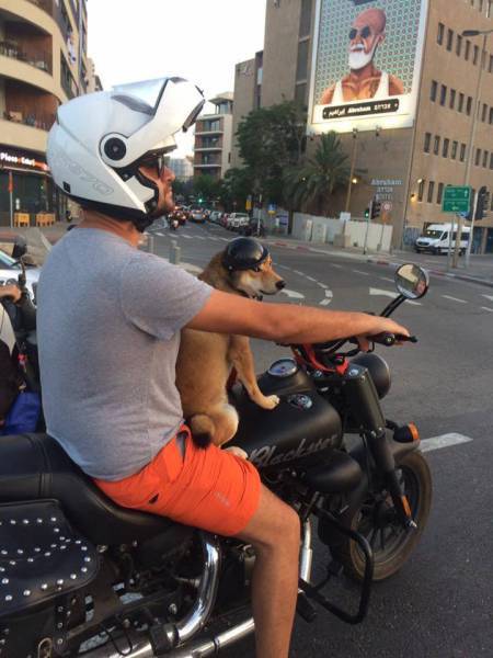 morning picdump 50 pics 17.html - 50 HD Photos | Premium Gallery 2016