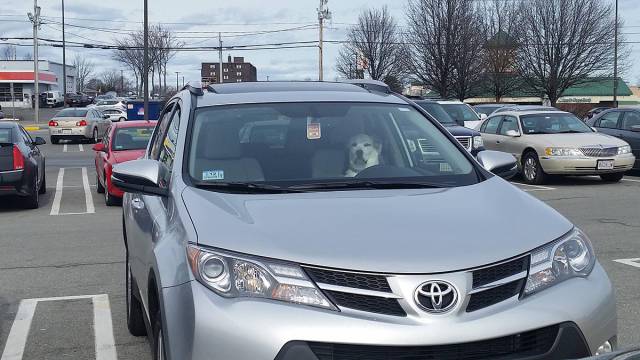 morning picdump 50 pics 17.html - 50 HD Photos | Premium Gallery 2016