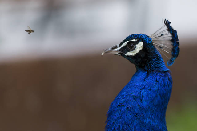 morning picdump 52 pics 3.html - 52 HD Photos | Premium Gallery 2016