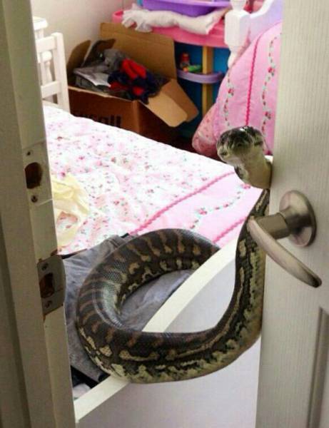 morning picdump 55 pics 27.html - 55 HD Photos | Premium Gallery 2016