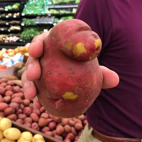 morning picdump 55 pics 27.html - 55 HD Photos | Premium Gallery 2016