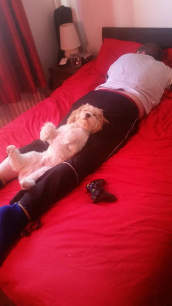 morning picdump 55 pics 27.html - 55 HD Photos | Premium Gallery 2016