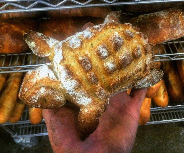 morning picdump 55 pics 27.html - 55 HD Photos | Premium Gallery 2016