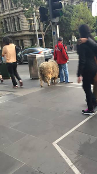 morning picdump 54 pics 8.html - 54 HD Photos | Premium Gallery 2016