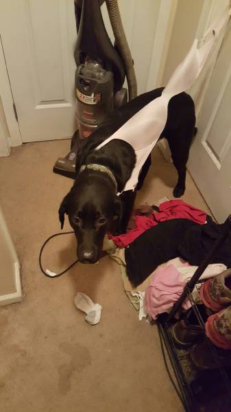 morning picdump 54 pics 8.html - 54 HD Photos | Premium Gallery 2016