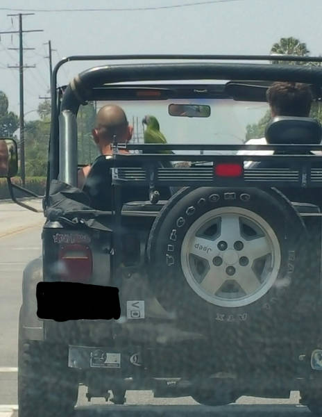 morning picdump 54 pics 8.html - 54 HD Photos | Premium Gallery 2016