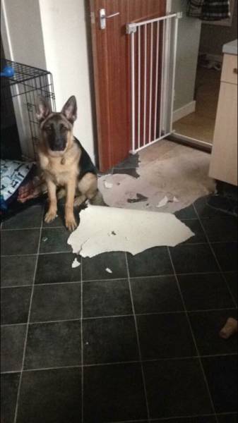 morning picdump 54 pics 8.html - 54 HD Photos | Premium Gallery 2016