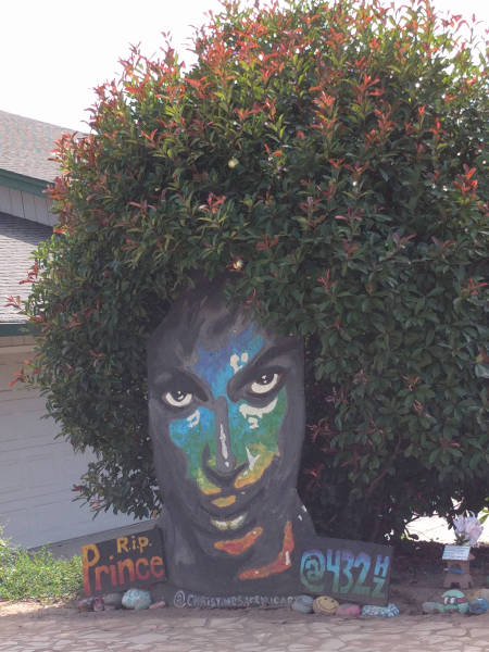 morning picdump 54 pics 8.html - 54 HD Photos | Premium Gallery 2016