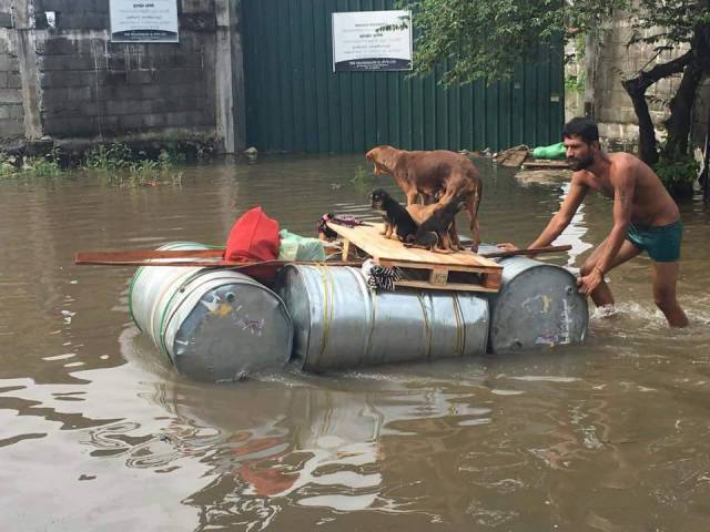 morning picdump 54 pics 8.html - 54 HD Photos | Premium Gallery 2016