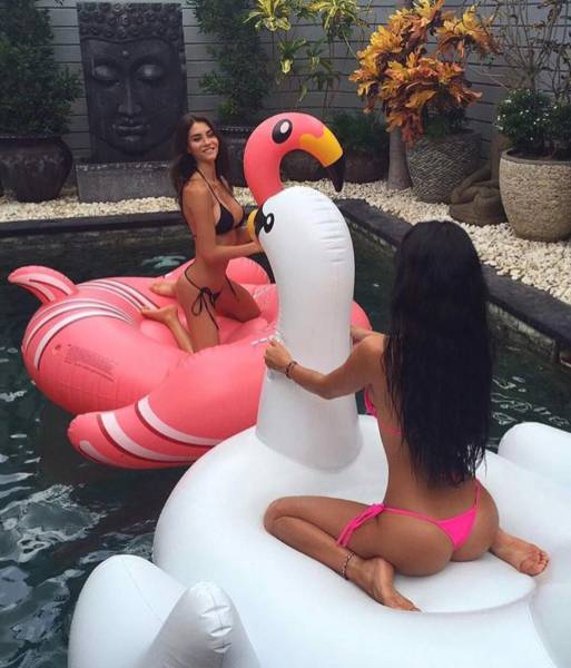 grownup corner 57 pics 15 gifs 1.html - 57 HD GIF | Premium Gallery 2016