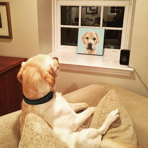 morning picdump 53 pics 21.html - 53 HD Photos | Premium Gallery 2016