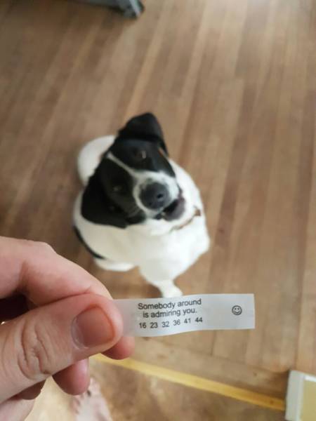 morning picdump 53 pics 21.html - 53 HD Photos | Premium Gallery 2016