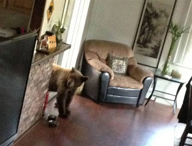 morning picdump 53 pics 21.html - 53 HD Photos | Premium Gallery 2016