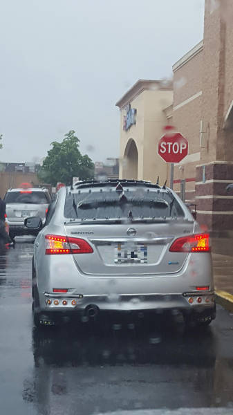 morning picdump 52 pics 18.html - 52 HD Photos | Premium Gallery 2016