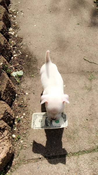 morning picdump 52 pics 18.html - 52 HD Photos | Premium Gallery 2016