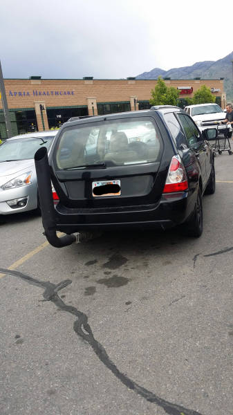 morning picdump 50 pics 19.html - 50 HD Photos | Premium Gallery 2016