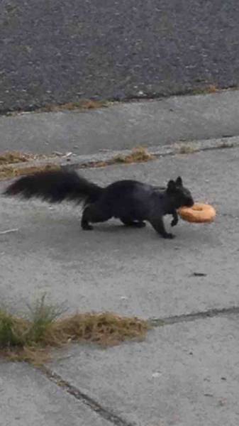 morning picdump 50 pics 19.html - 50 HD Photos | Premium Gallery 2016