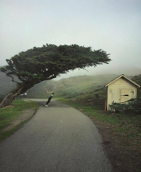 morning picdump 50 pics 19.html - 50 HD Photos | Premium Gallery 2016