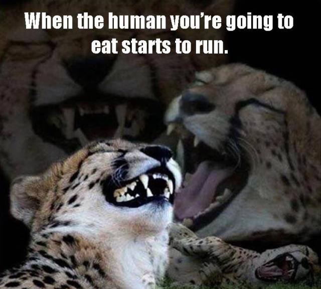 funny picdump 51 pics 2.html - 51 HD Photos | Premium Gallery 2016