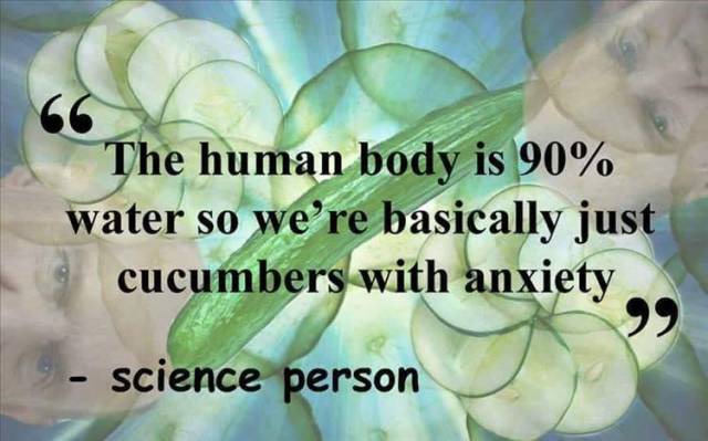 funny picdump 51 pics 2.html - 51 HD Photos | Premium Gallery 2016