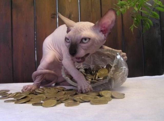 morning picdump 51 pics 25.html - 51 HD Photos | Premium Gallery 2016