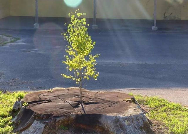 Fascinating Photos That Speak For Themselves