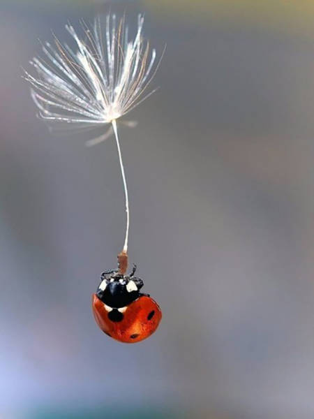 Fascinating Photos That Speak For Themselves