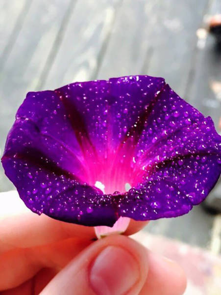 Fascinating Photos That Speak For Themselves