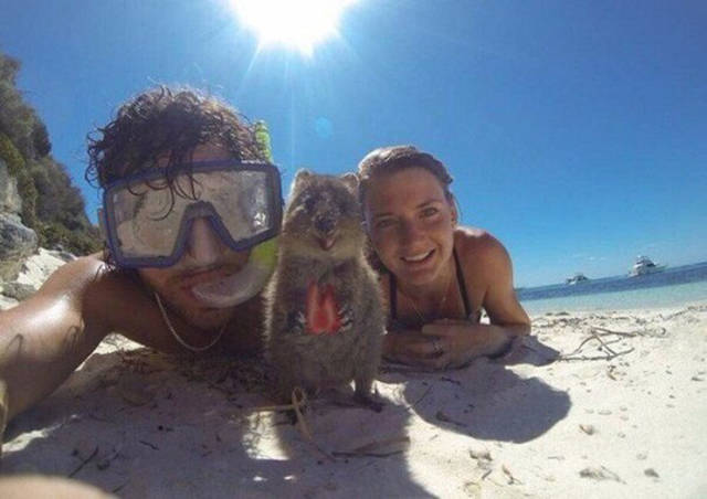 Fascinating Photos That Speak For Themselves